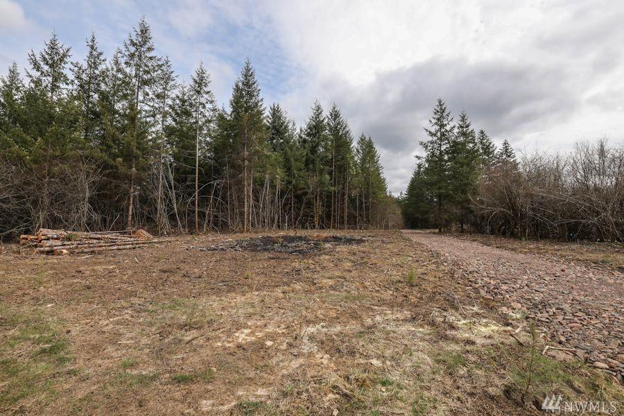 0-Tract 6 Bremgartner Rd - Photo 1