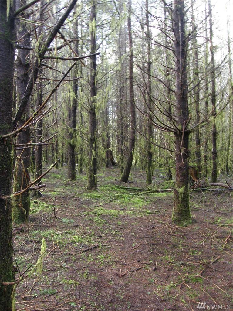 0-M.P. 2 Smith Creek Rd - Photo 1