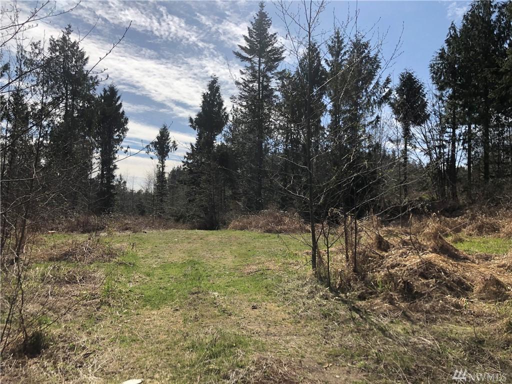 99-XX Phillips Rd - Photo 1
