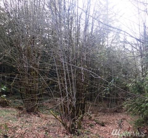 0-Lot10-12 Wyoming St - Photo 1