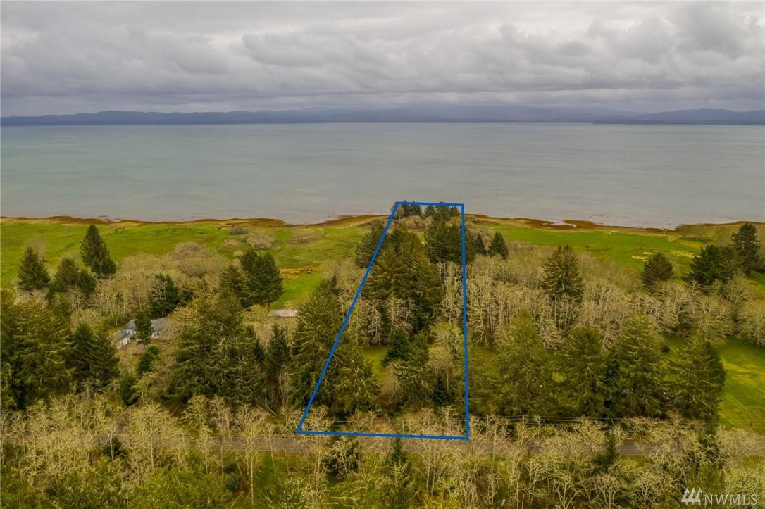 32810 Sandridge Rd - Photo 1
