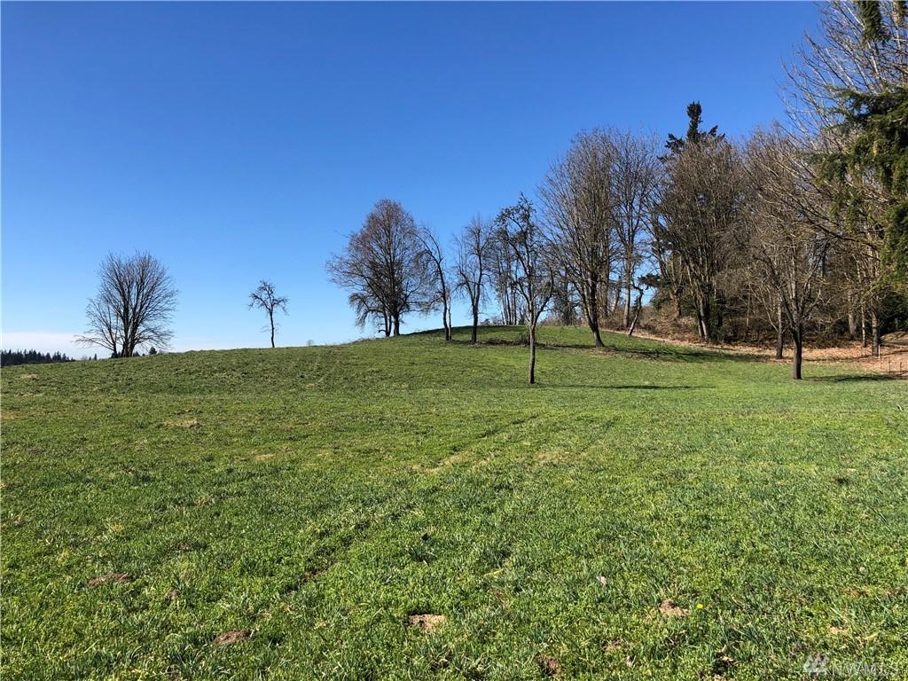 371-XX 236th Ave - Photo 1