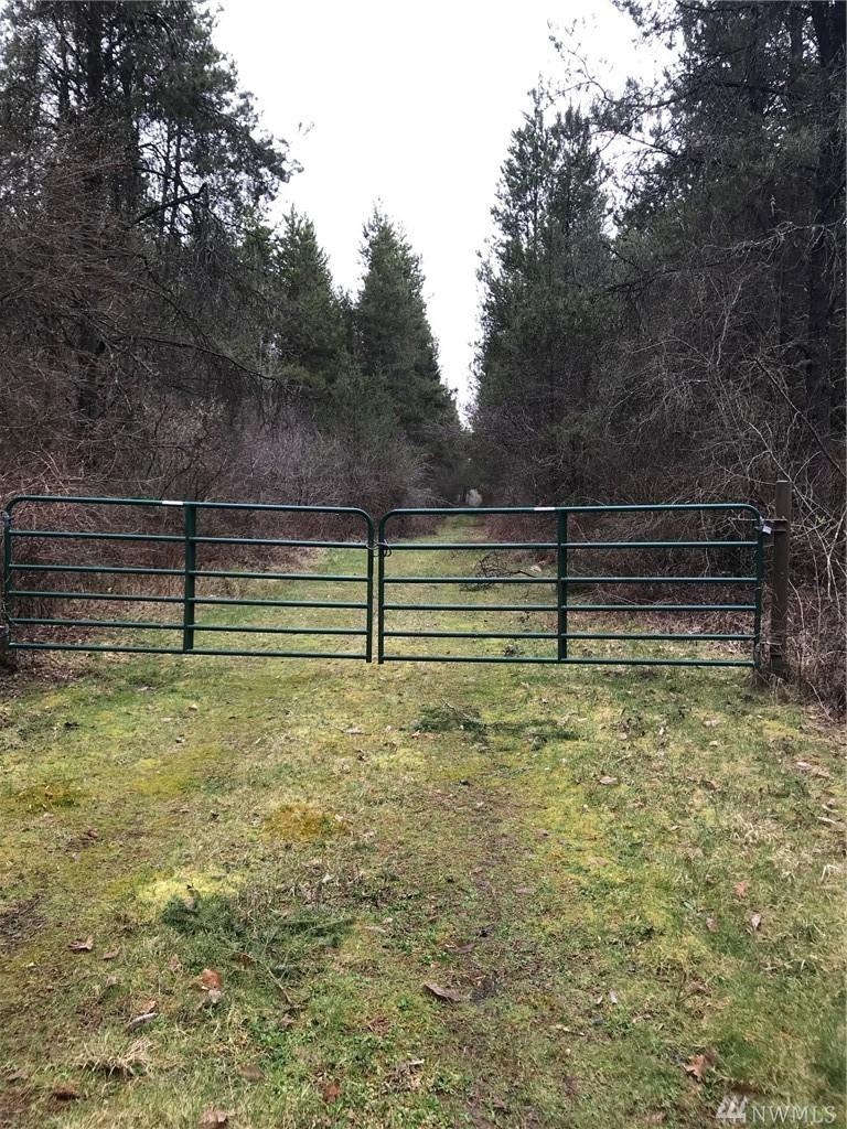 167 Gray Rd - Photo 1