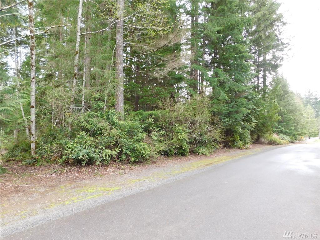 0 Olympic Palisades - Photo 1