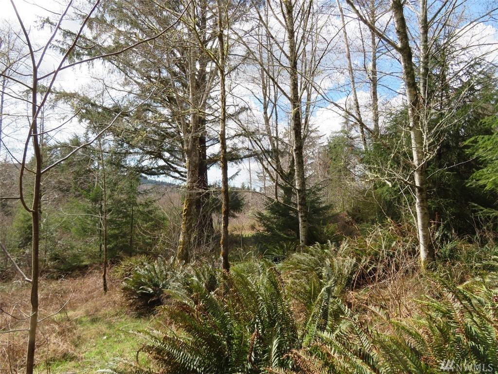 0-XXX Rue Creek Rd - Photo 1