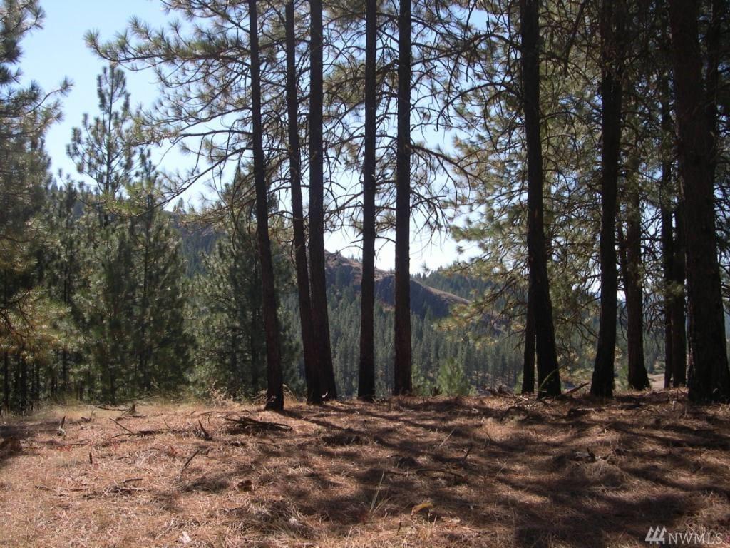 5821 Mudgett Lake Rd - Photo 1