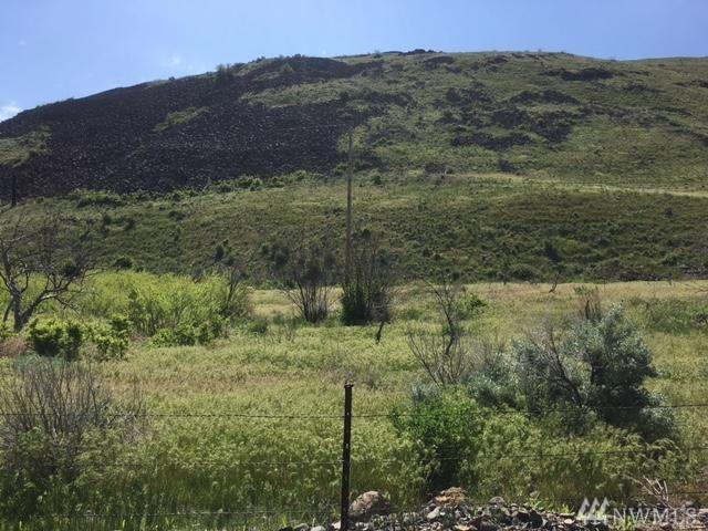 100 Colockum Rd - Photo 1