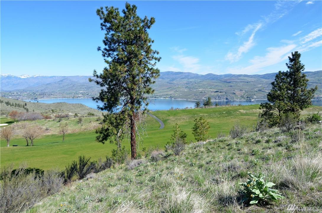 238 Bandera Wy - Photo 1