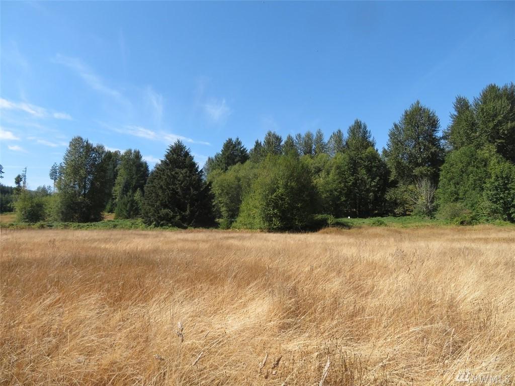 0 Falls Rd - Photo 1