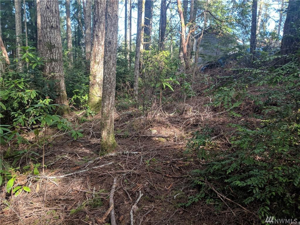 19796 Stavis Bay Rd - Photo 1