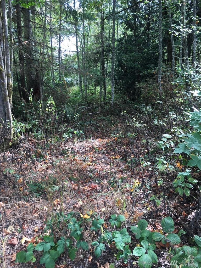 23044 Seatter Rd - Photo 1
