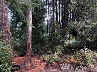 5415 Old Stump Dr - Photo 1