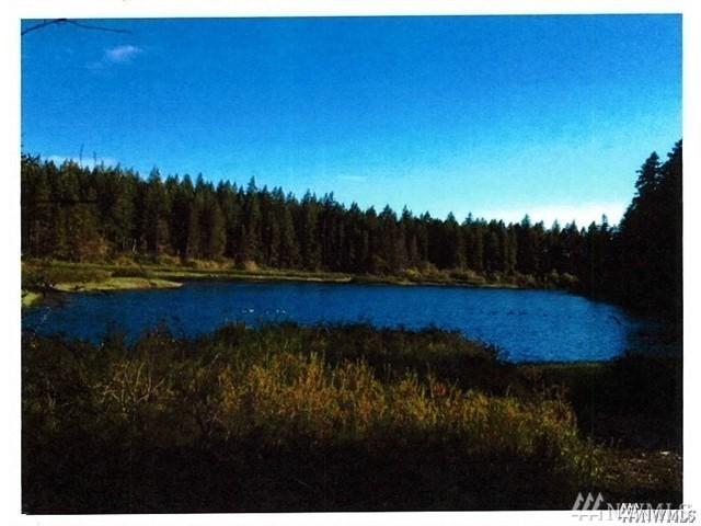 12921 Hwy 101 - Photo 1