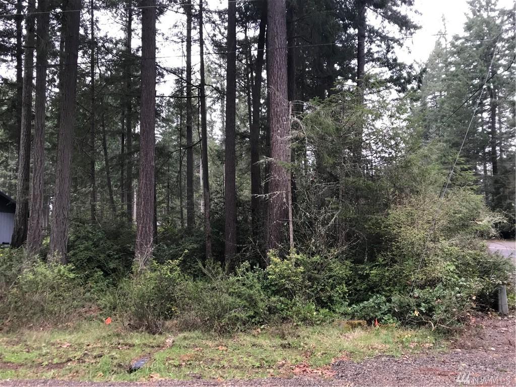 11025 Pioneer Dr - Photo 1