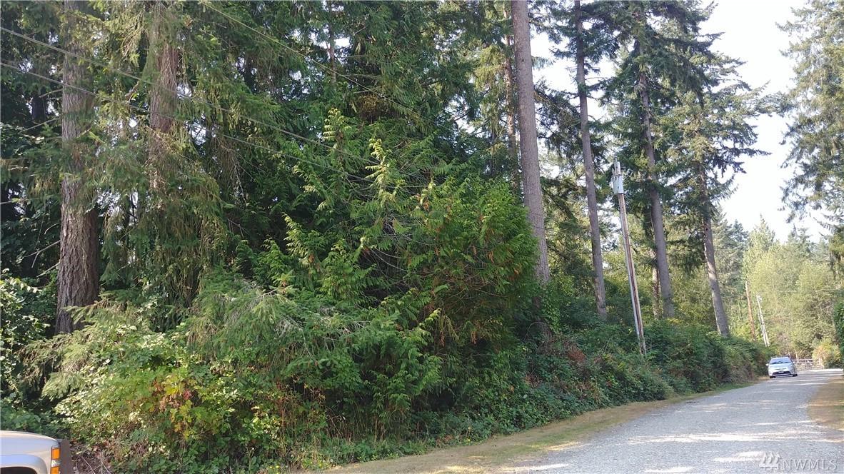 0 Peter Hagen Rd - Photo 1