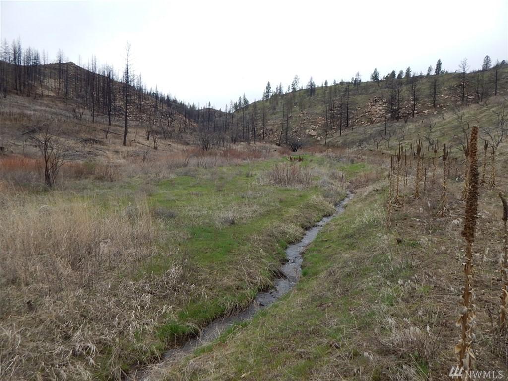 0-Lot E Coyote Lane - Photo 1