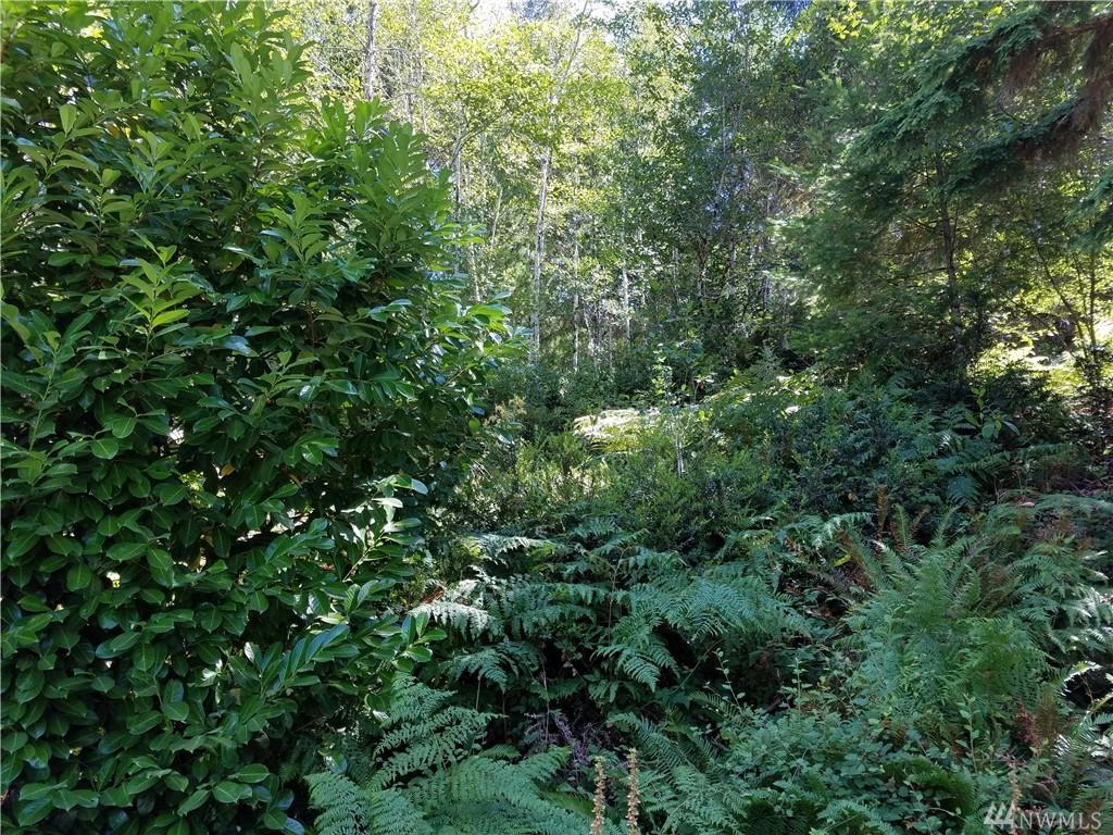 0-TR 38 Pine Camp Rd - Photo 1
