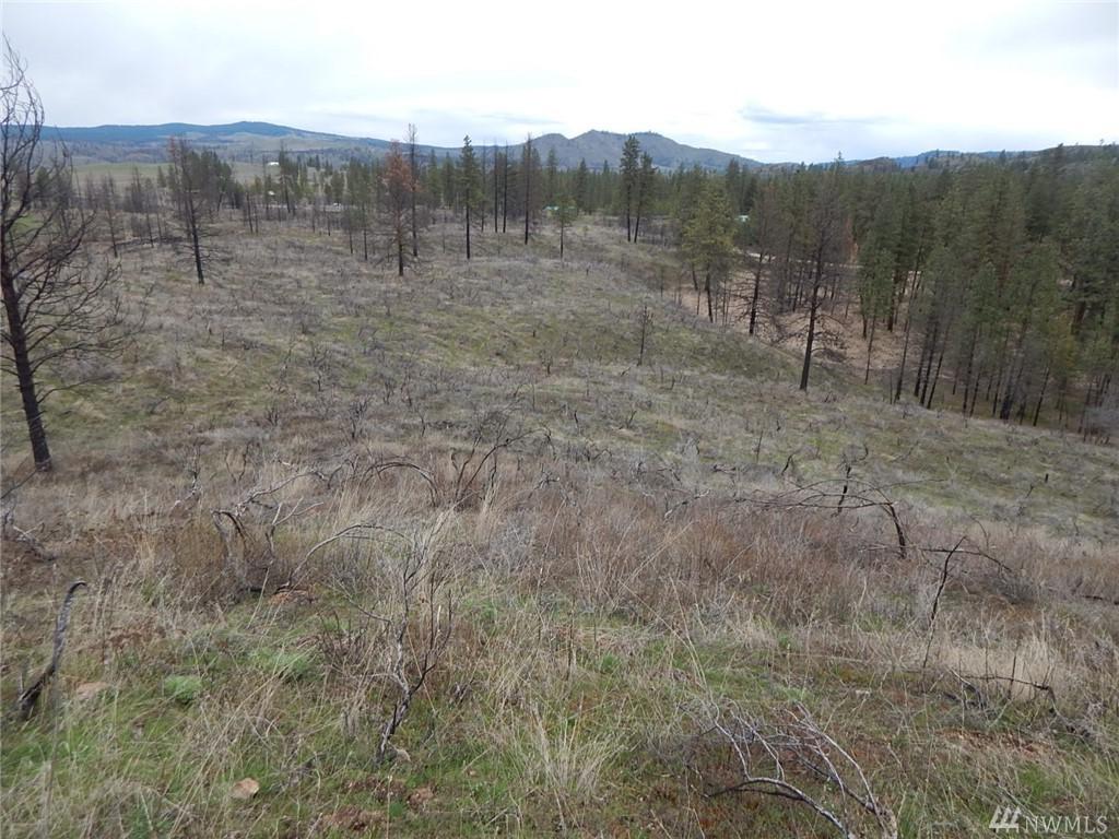 0-Lot F Coyote Lane - Photo 1