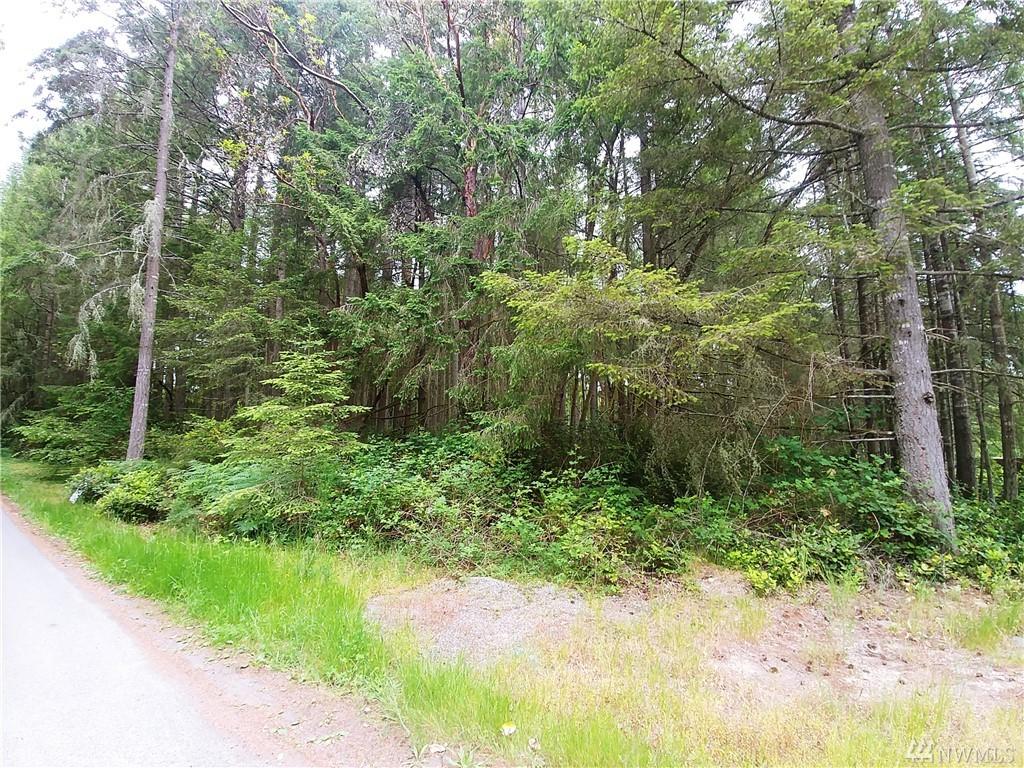 7213 182nd Av Ct - Photo 1