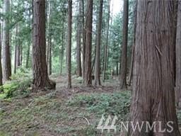 10101 Provost Rd - Photo 1