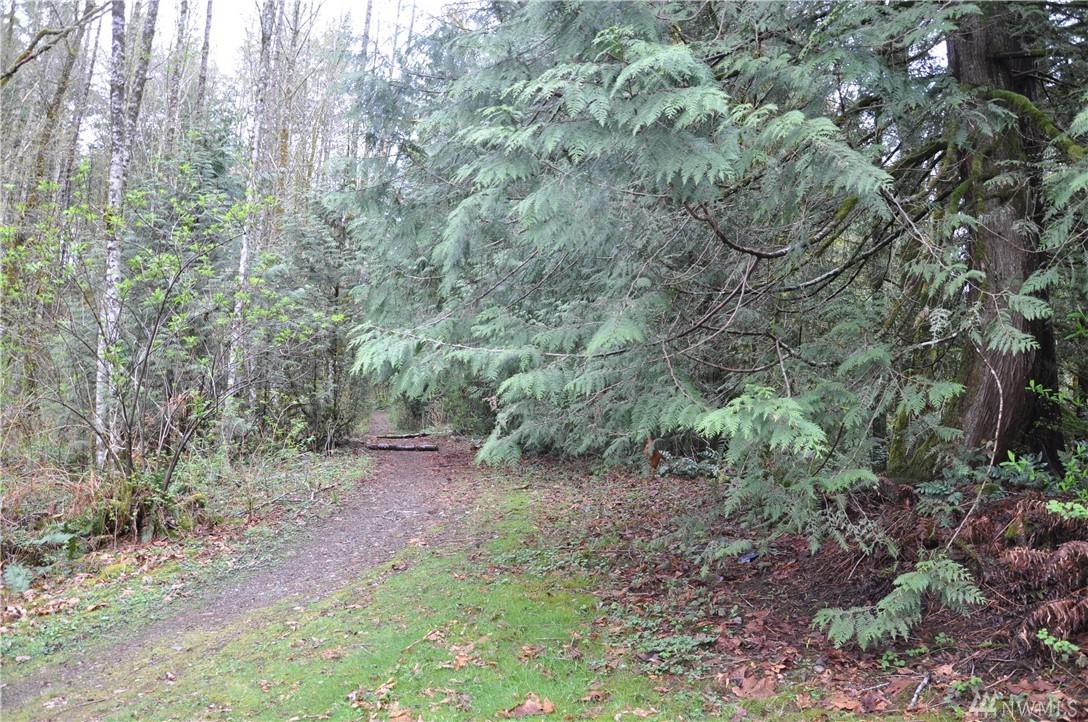 14-XX Roy Rd - Photo 1