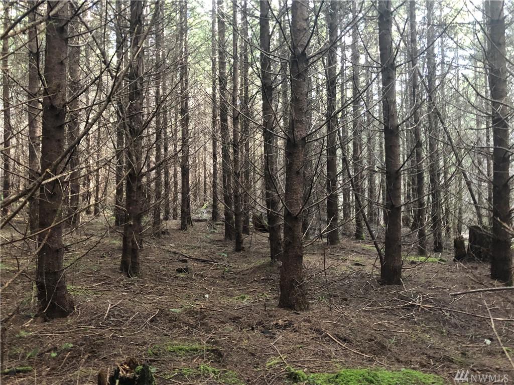 0 Wells Rd - Photo 1