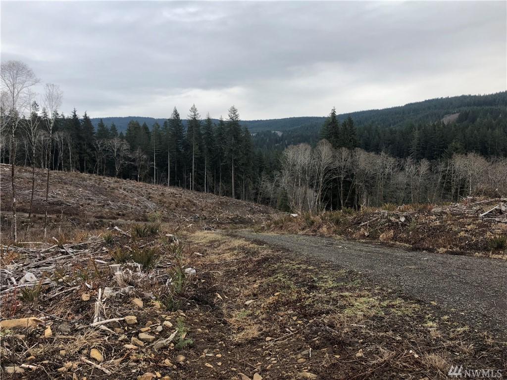 0 Elochoman Valley Rd - Photo 1