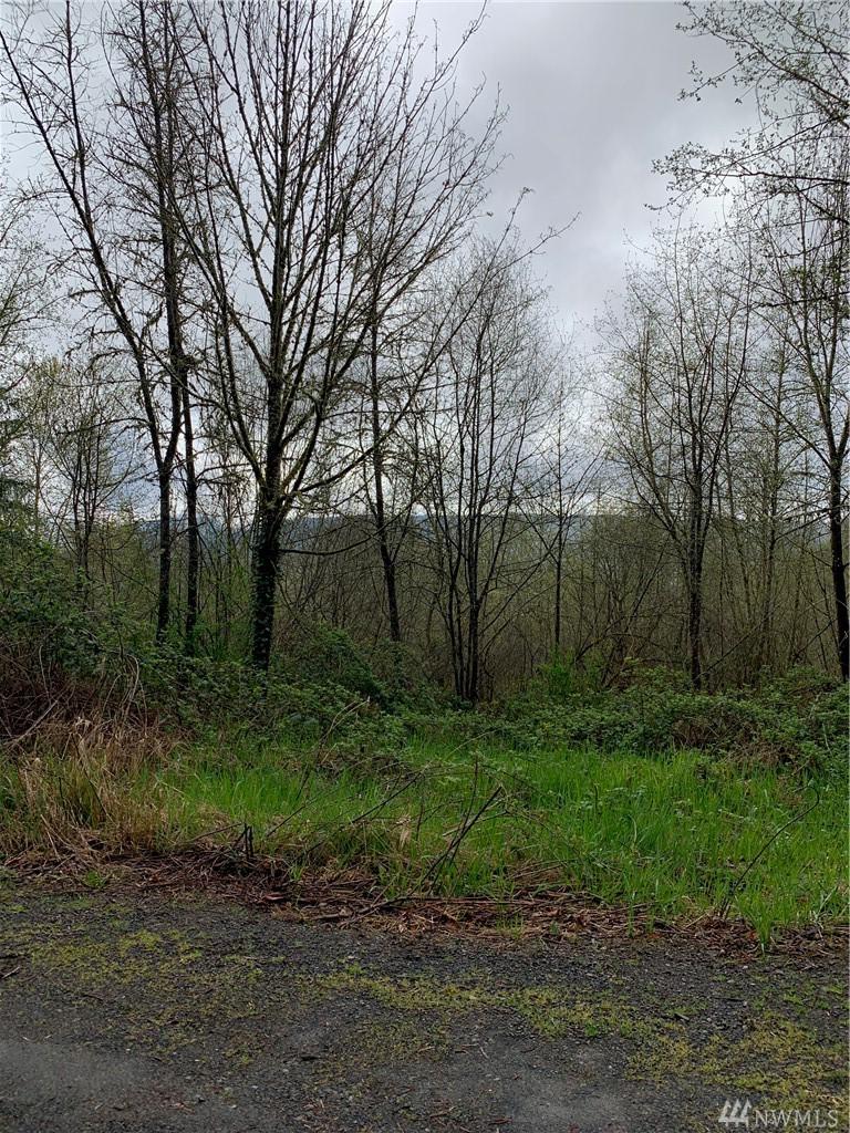 0 Schoen Rd - Photo 1