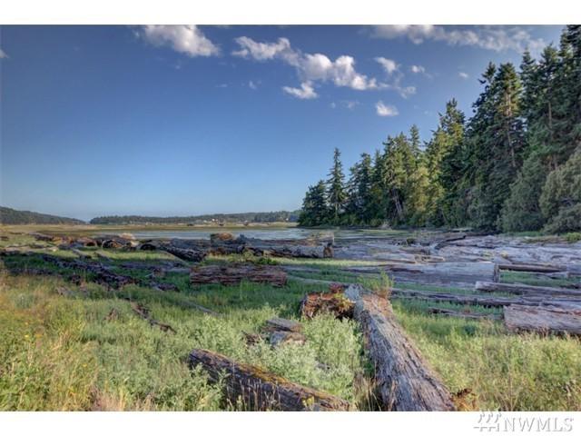 45 Kala Lagoon Ct - Photo 1