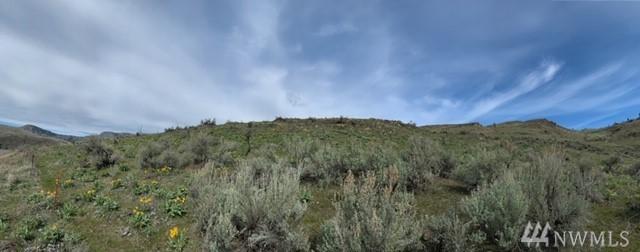 0-TBD Danker Cutoff Rd - Photo 1
