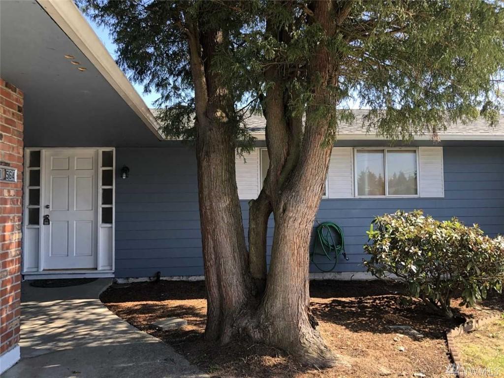 16564 121st Ave - Photo 1