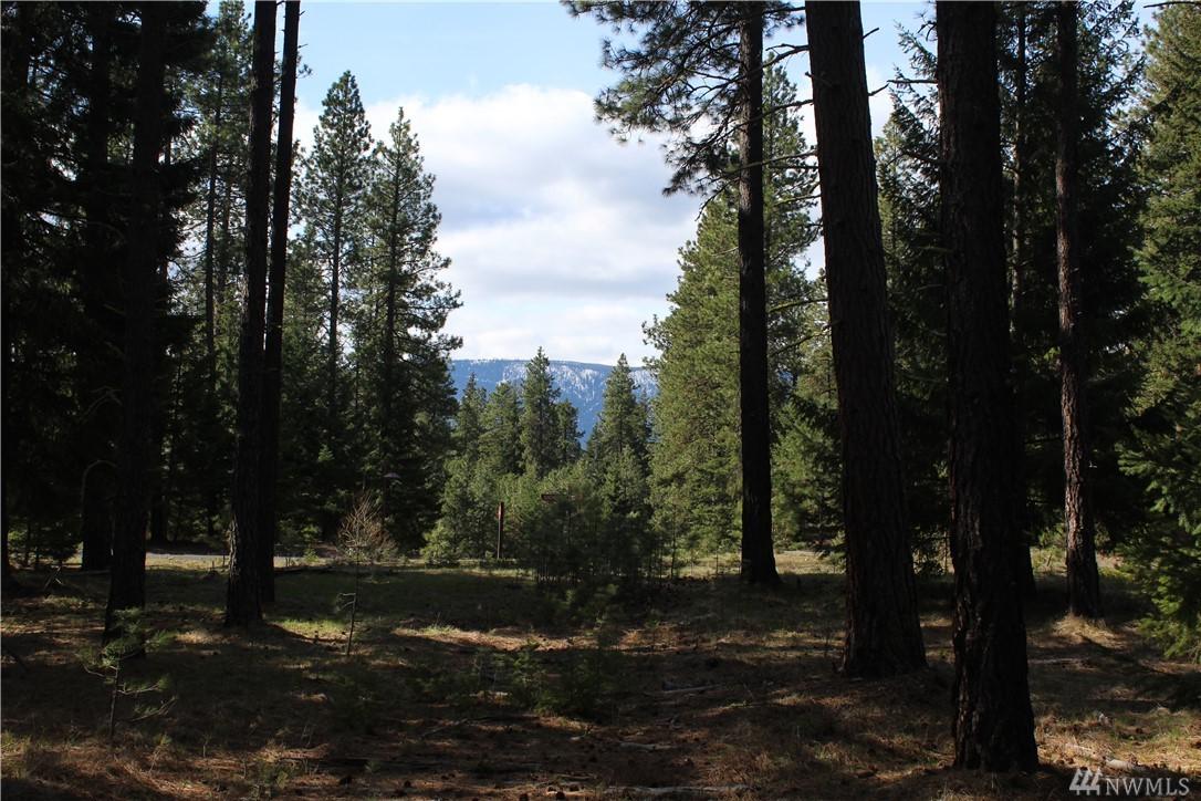 1700 Larkspur Lp - Photo 1