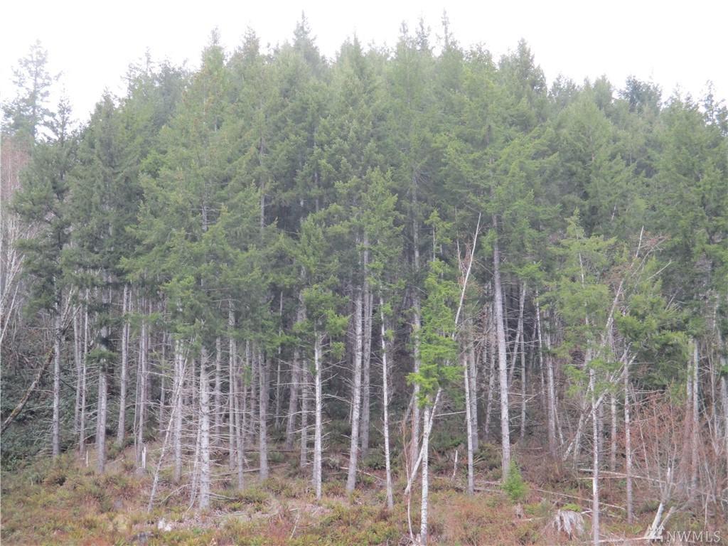 0 Mill Creek Rd - Photo 1