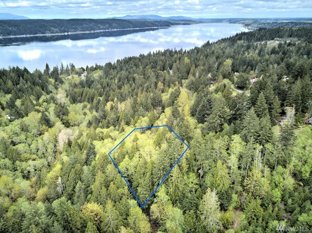 0-TR6 Canyon View Lane - Photo 1