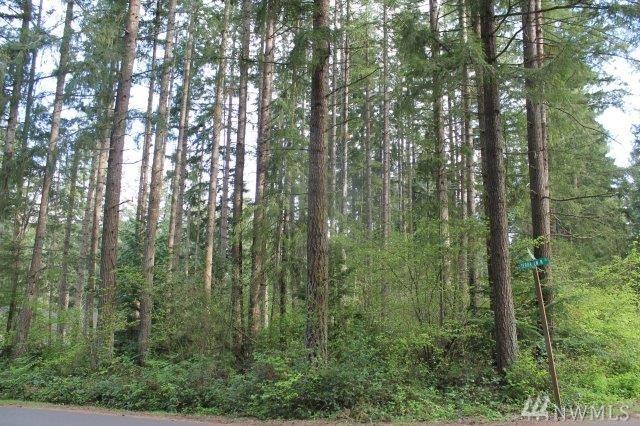 17306 View Dr - Photo 1