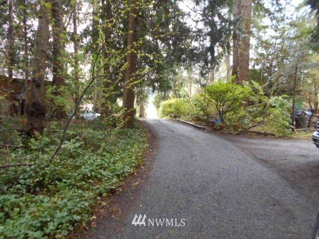 10003 Manitou Beach Drive - Photo 1