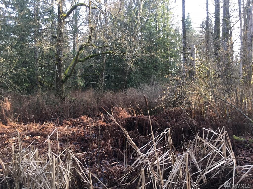 22014 Sumner Buckley Hwy - Photo 1
