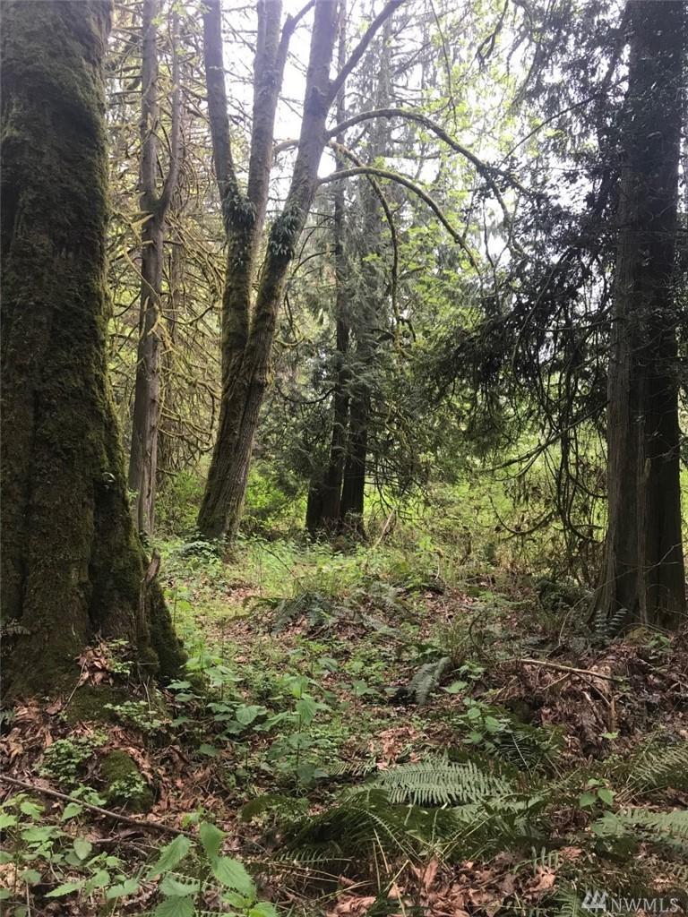 0 Montana - Photo 1