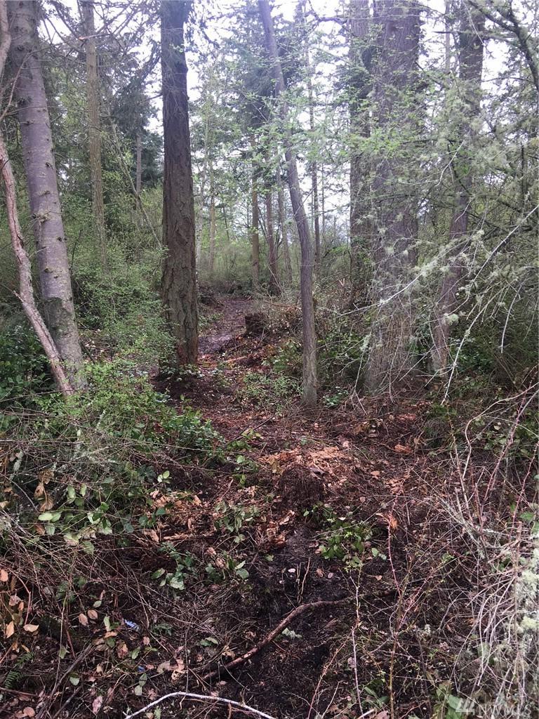 0 Zylstra Rd - Photo 1