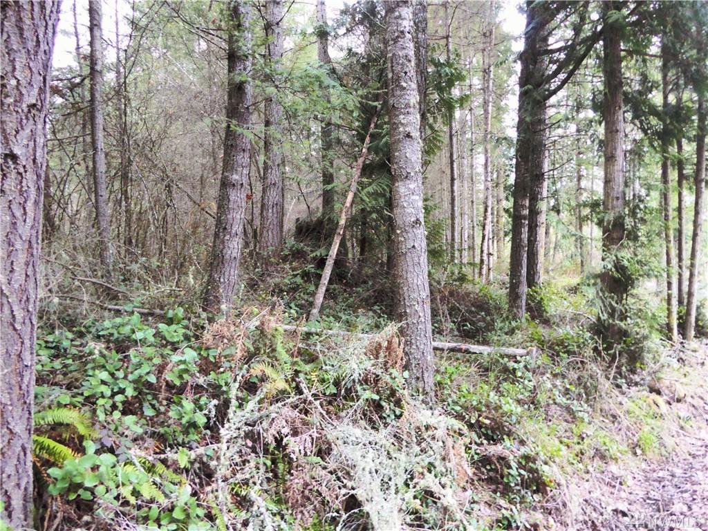 39311 Highland Dr - Photo 1