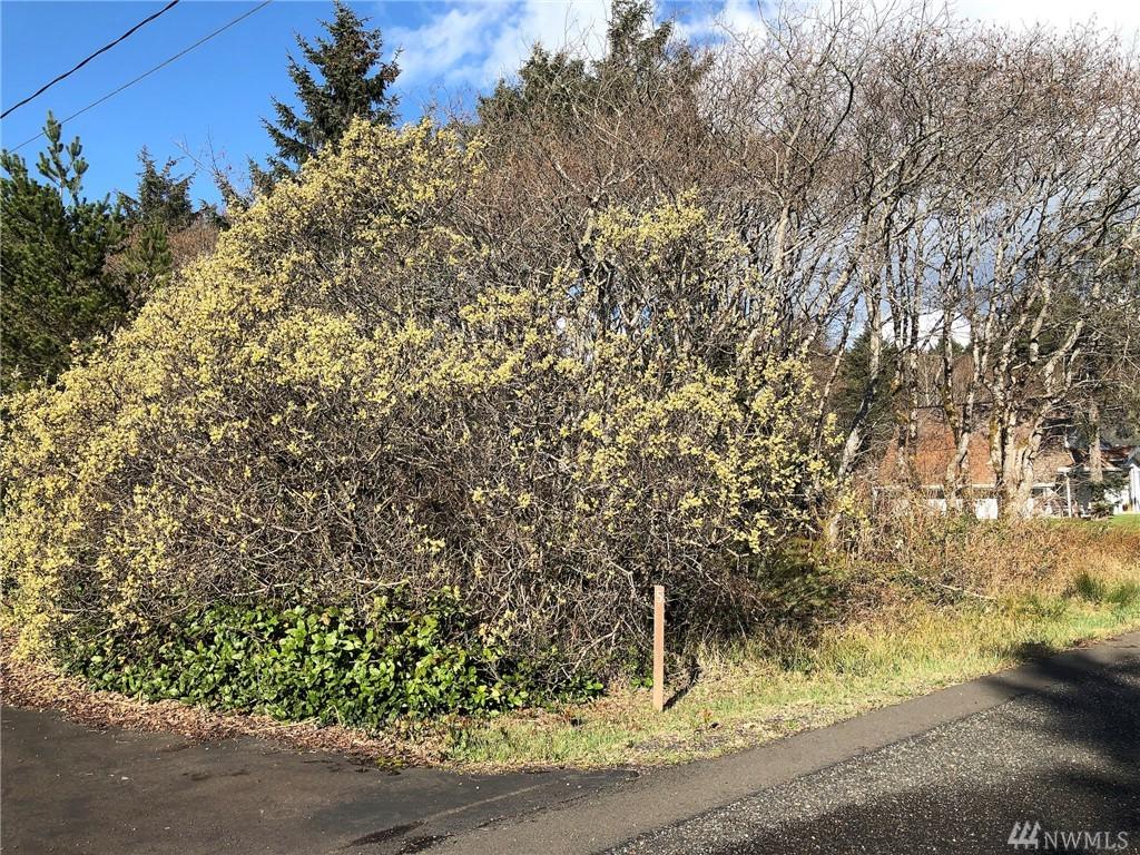 7 Woodland Dr - Photo 1
