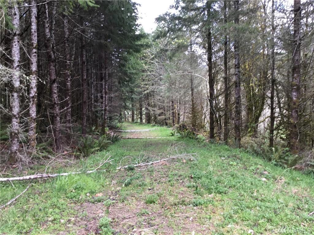 180-xx Johnson Creek Rd - Photo 1
