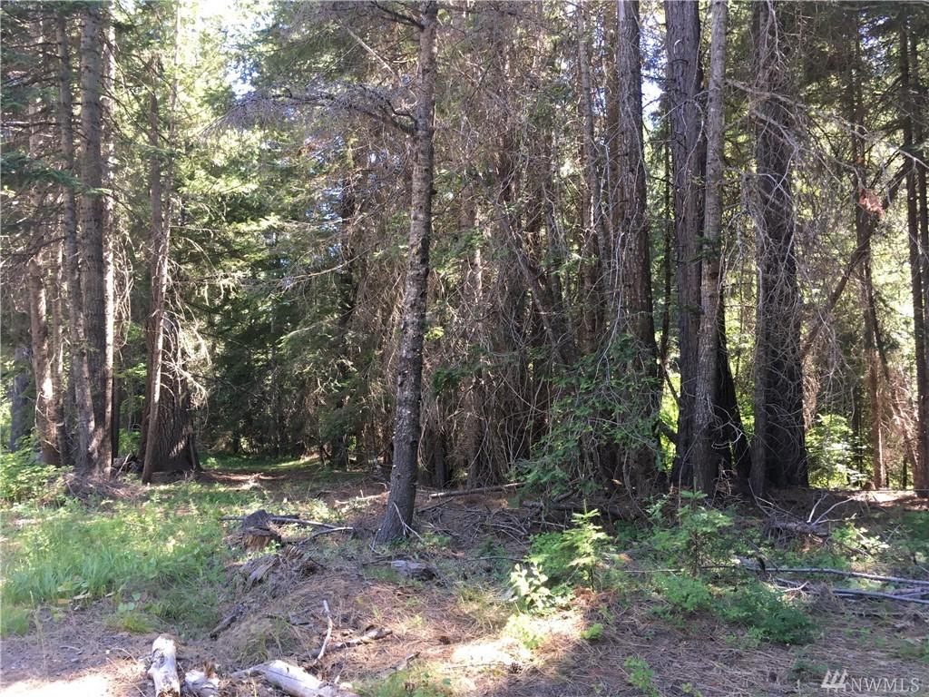 49 Wagon Wheel Rd - Photo 1