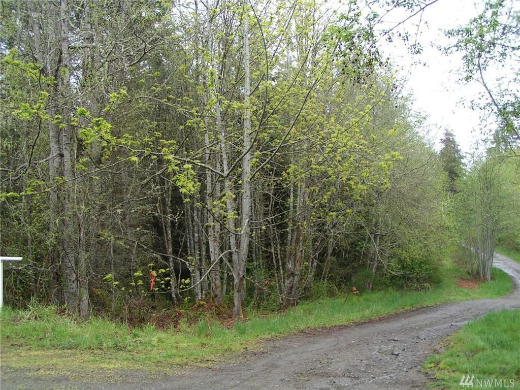 9999 Bagley Creek Rd - Photo 1
