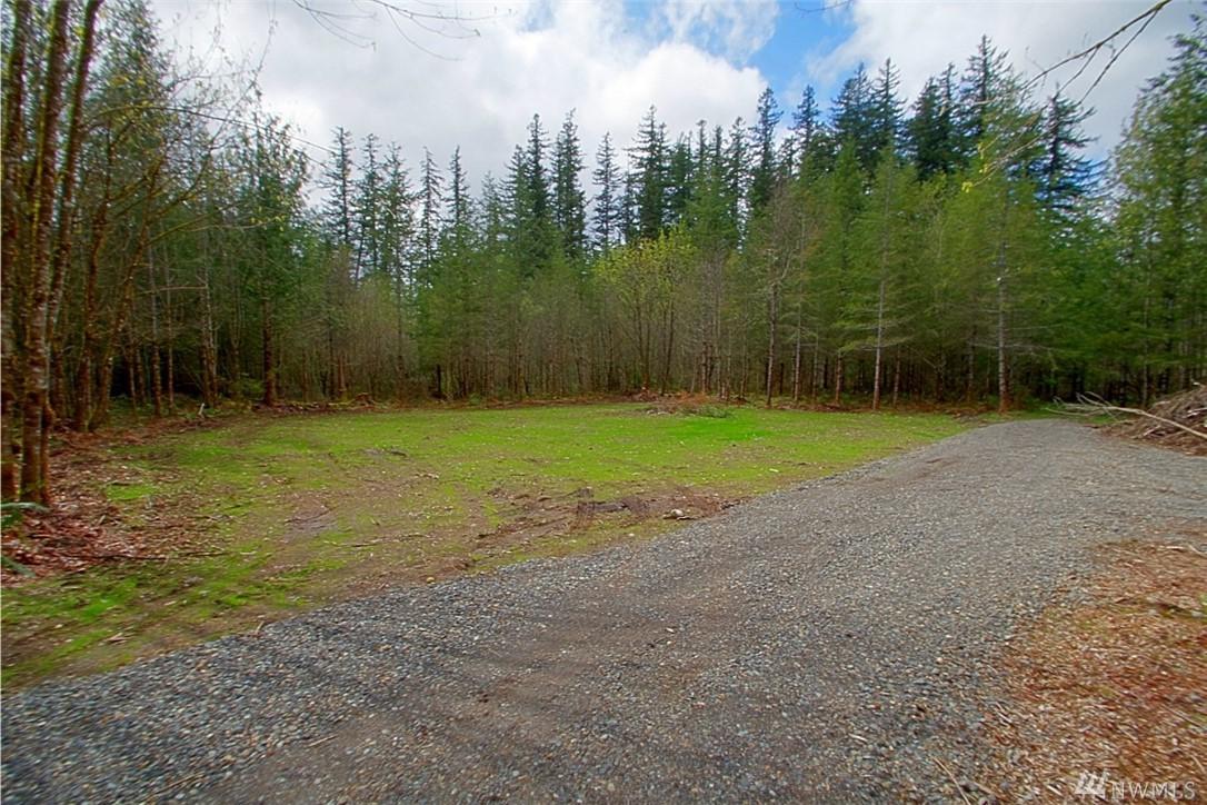 36013 307th Ave - Photo 1