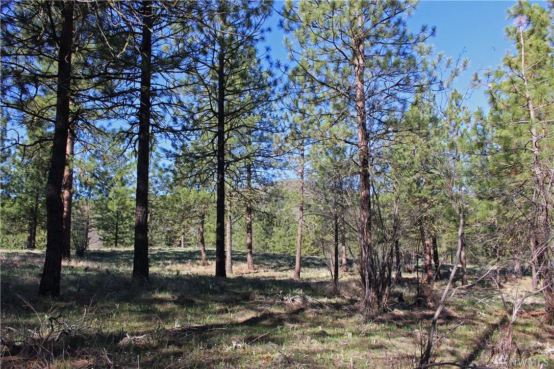 0 Twin Lakes Dr - Photo 1