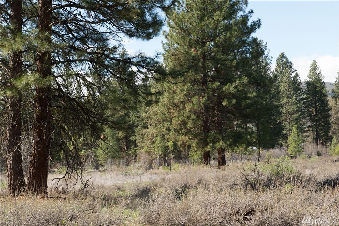 28-Lot Pine Loop - Photo 1