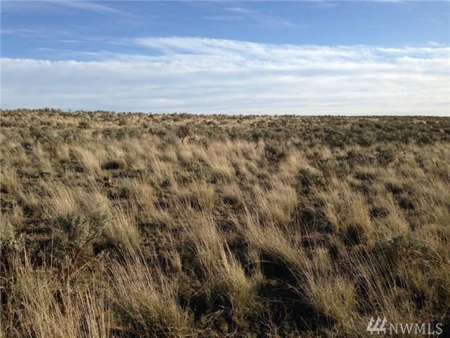 25 Eagle Springs Ranch - Photo 1