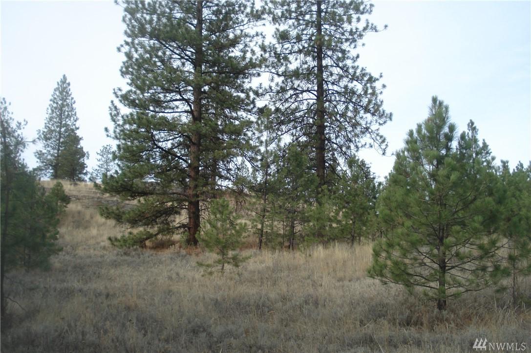 40-tbd Pasayten Vu Rd - Photo 1