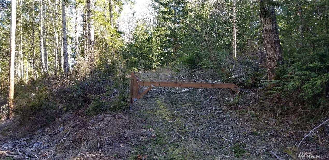 100 Paradise Dr - Photo 1